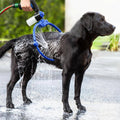Anneau de Douche 360 WashLoop™ pour Chiens