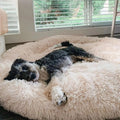 CalmiCloud™ Panier Douillet pour Chien